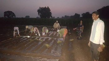 विहिर, कुपनलिका तुडुंब, तरी शेतकर्यांना भल्या पहाटे का यावे लागते शेतात, तर मग वाचा !