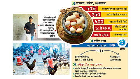 Kadaknath-Poultry