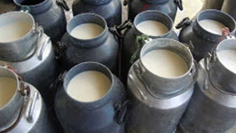 Expired milk dose to tribal students