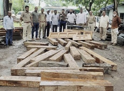 घरात साठविला होता अवैध लाकूड साठा, माहिती मिळताच वन विभागाची कारवाई