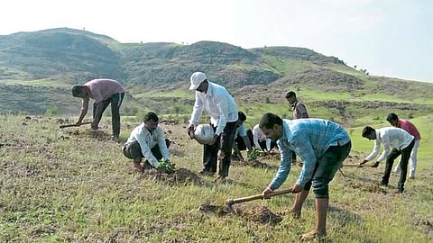 पर्यावरणाचा ऱ्हास थांबविण्यासाठी युवकांचा पुढाकार