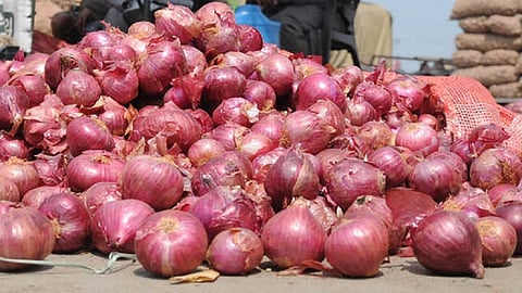 Onion auction starts