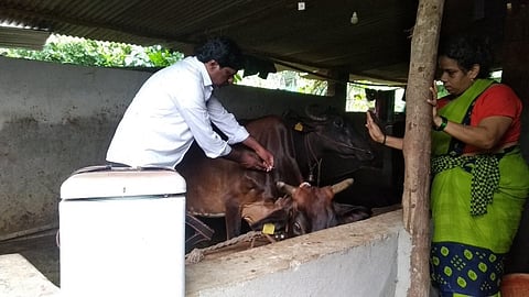 Movement For Various Demands Of Veterinarians Kolhapur Marathi News