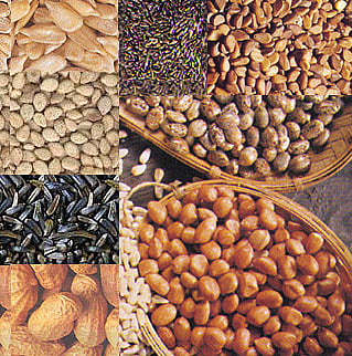 whay raju shetti say increase in crop minimum support price Misleading