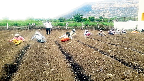 Satara