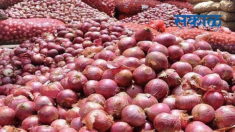 Prices have come down due to increase in onion arrivals in the market Nashik Marathi News
