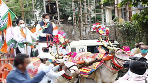 Video : इंधन दरवाढविरोधात पृथ्वीराज चव्हाण यांचे कऱ्हाडात बैलगाडीतून आंदोलन