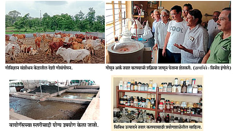 Production of various products from cow urine
