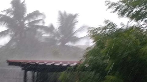 untimely rains Bulls die after being struck by lightning