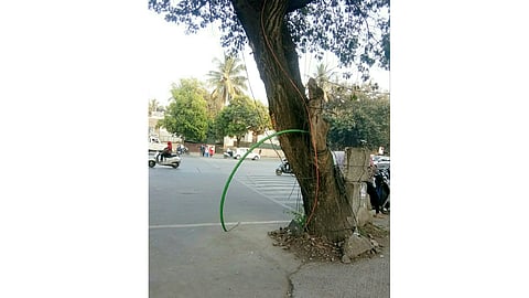 SATARA-RASTRA.jpg