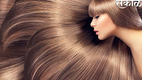 special story Oily hair care news