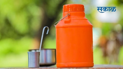 महिलांनी स्थापन केलेल्या मावळ डेअरीचे भवितव्य अंधारात!