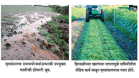 मातीची सुपीकता जपण्यासाठी...