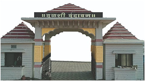 Tulsi Vrundavan
