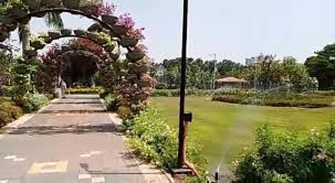 Vertical Garden under the guidance of Minister Thorat and MLA Tambe