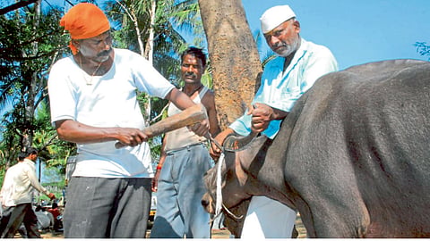 Craftsman in kolhapur marathi news