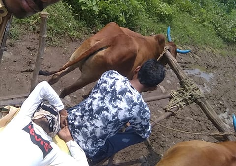 सोनारवाई ः तापाची लागण झालेल्या रुग्णाला बैलगाडीतून दवाखान्यात नेताना तरुण.