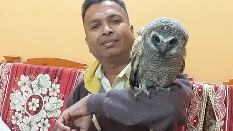 rajesh thombare olw