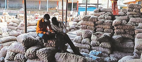 Record inflow of onions in Parner during scarcity