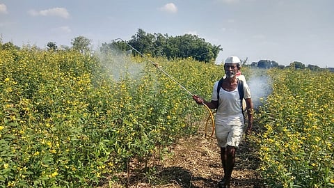 रब्बी पीक.jpg