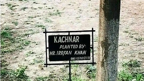 ती झाडे अशीच बहरतील! इरफान खानच्या पत्नीने दिला आठवणींना उजाळा