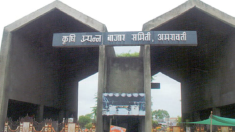 farmers does not come in APMC for selling grains in amravati