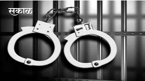 नारळाच्या झाडांमागे गांजा लपवत तस्करी; पोलिसांनी केला आंतरराज्यीय टोळीचा पर्दाफाश