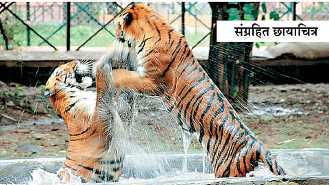 आता तरी सुधारणा होणार का?