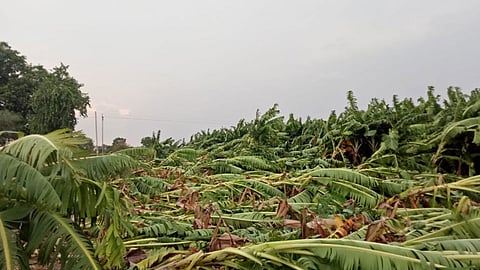 jalgaon