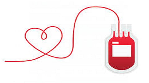 blood donation camp in sindhudurg national blood donation camp organised by district