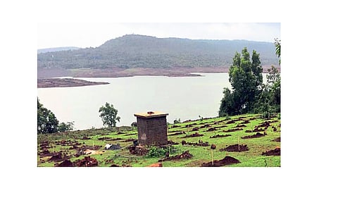 Release the water in the Chitri Dam; Otherwise the movement Kolhapur Marathi News