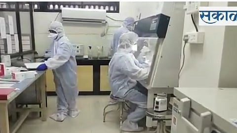 corona lab nashik