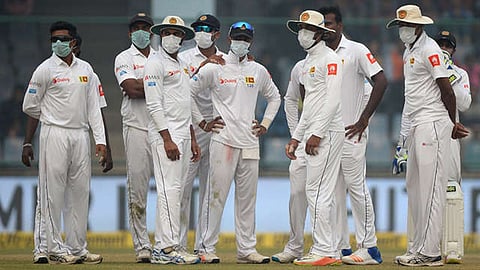 cricket pollution