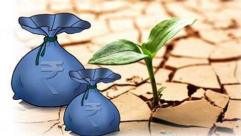 crop loan