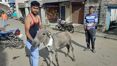 doctor got out of the gutter to get the donkey out of the gutter