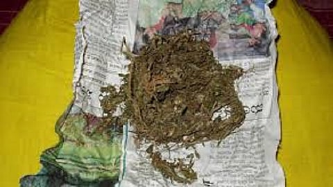Drugs caught by RPF in Vishakhapattanam express in Nagpur