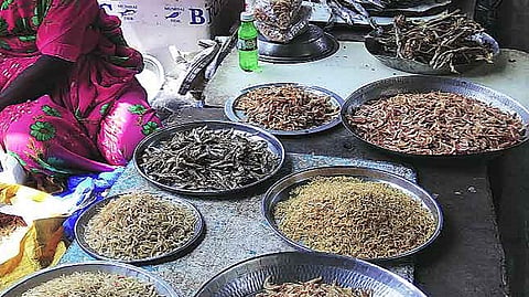 dry fish market vadkhal crowd before monsoon food health