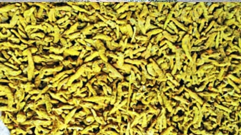 turmeric
