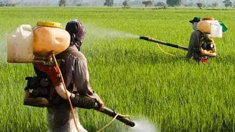 fertilizers rate increases from march in yavatmal