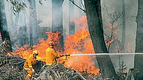fire