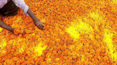 flowers are getting costlier as festivals comes