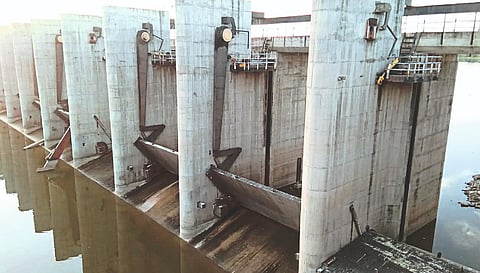 Root dam