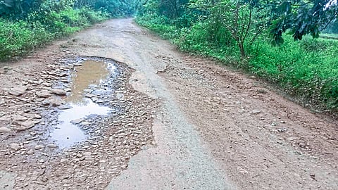 साखरीटोला : शिवारीटोला ते डोमाटोला रस्त्यावर पडलेले मोठमोठे खड्डे.