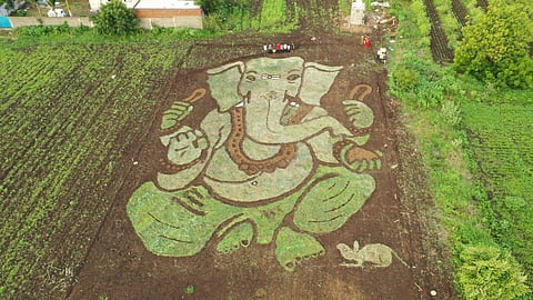 grass painting.jpg