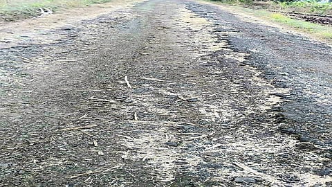 Poor Condition Of Harli-Vairagwadi Road Kolhapur Marathi News