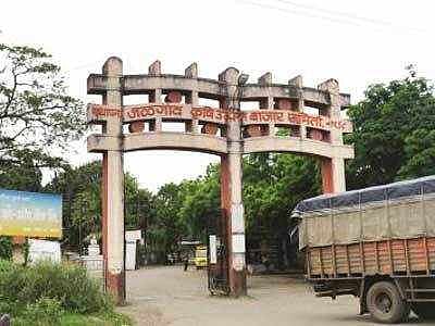 jalgaon bajar samiti
