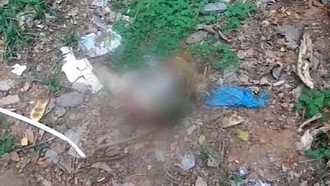 प्रशासनाच्या नाकर्तेपणामुळे अर्धवट जळालेले मृतदेह बेवारस कुत्रे गावात आणत आहेत. त्यांचे लचके तोडत आहेत. त्यामुळे भिलेवाडा या गावात दुर्गंधी पसरली आहे.