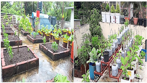 If you want to see the farm on the terrace, this is the place