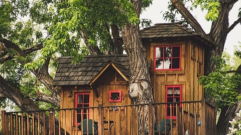 know about some amazing tree house in India Marathi article