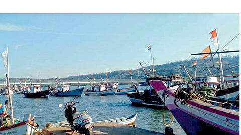 Matil Wale Breaks In Ratnagiri Fishing Ratnagiri Kokan Marathi News
